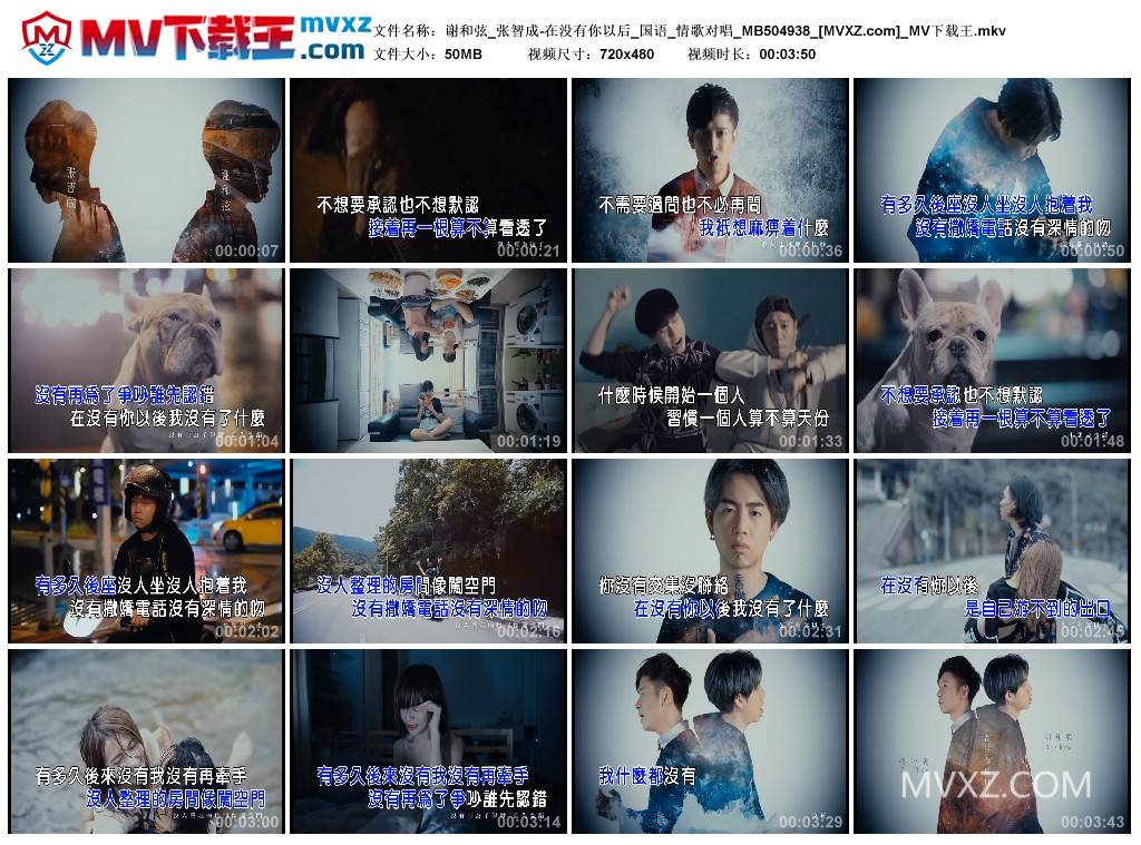 谢和弦_张智成-在没有你以后_国语_情歌对唱_MB504938